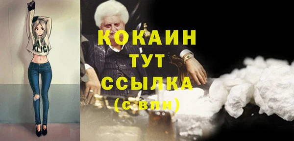 гашик Дмитровск