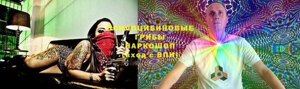 трава Арсеньев
